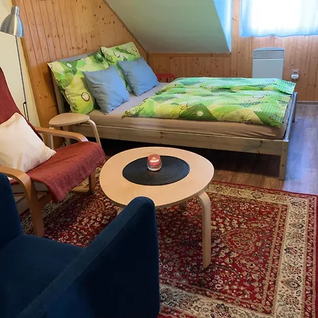 U Klasterniho Hradiska Apartment