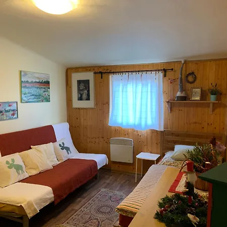 U Klasterniho Hradiska Apartment Olomouc
